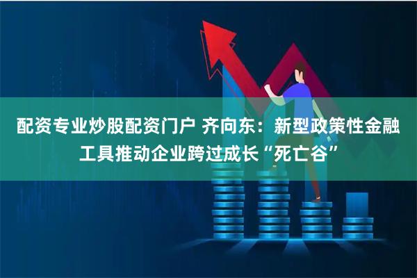 配资专业炒股配资门户 齐向东：新型政策性金融工具推动企业跨过成长“死亡谷”