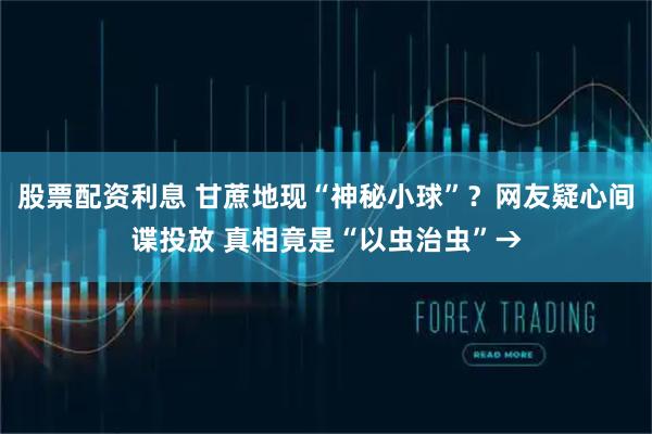 股票配资利息 甘蔗地现“神秘小球”？网友疑心间谍投放 真相竟是“以虫治虫”→