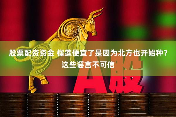 股票配资资金 榴莲便宜了是因为北方也开始种？这些谣言不可信